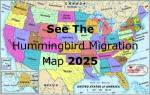 Migration Map Spring 2025