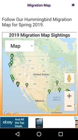 The Hummingbird Migration Mobile App. Hummingbird Tracker