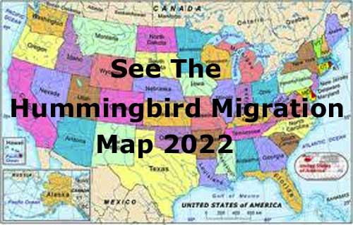 Hummingbird Tracking Map 2021 Hummingbird Migration. Spring & Fall Migration Information. 2020 Map.