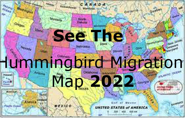 Hummingbird Sightings Map 2021 Hummingbird Migration Map 2022. Updated Hourly With Your Sightings.