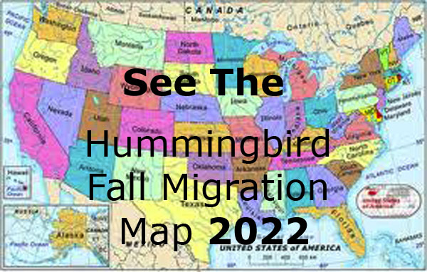 Hummingbird Migration. Spring & Fall Migration Information. 2020 Map.