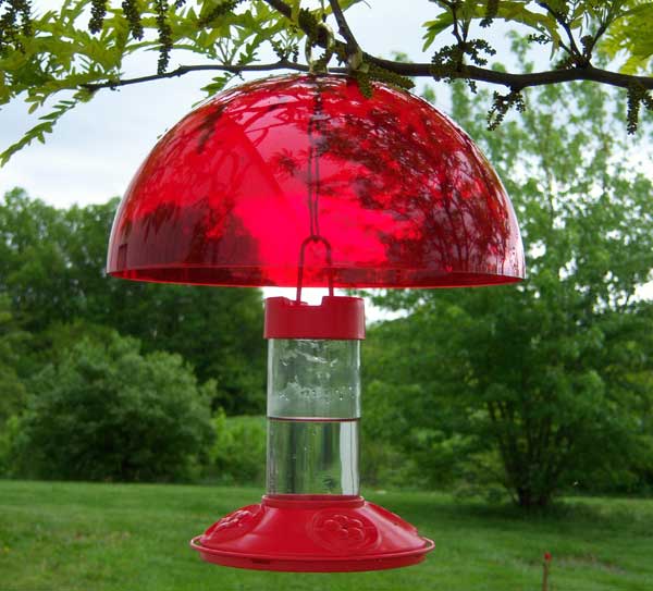 covered hummingbird feeder