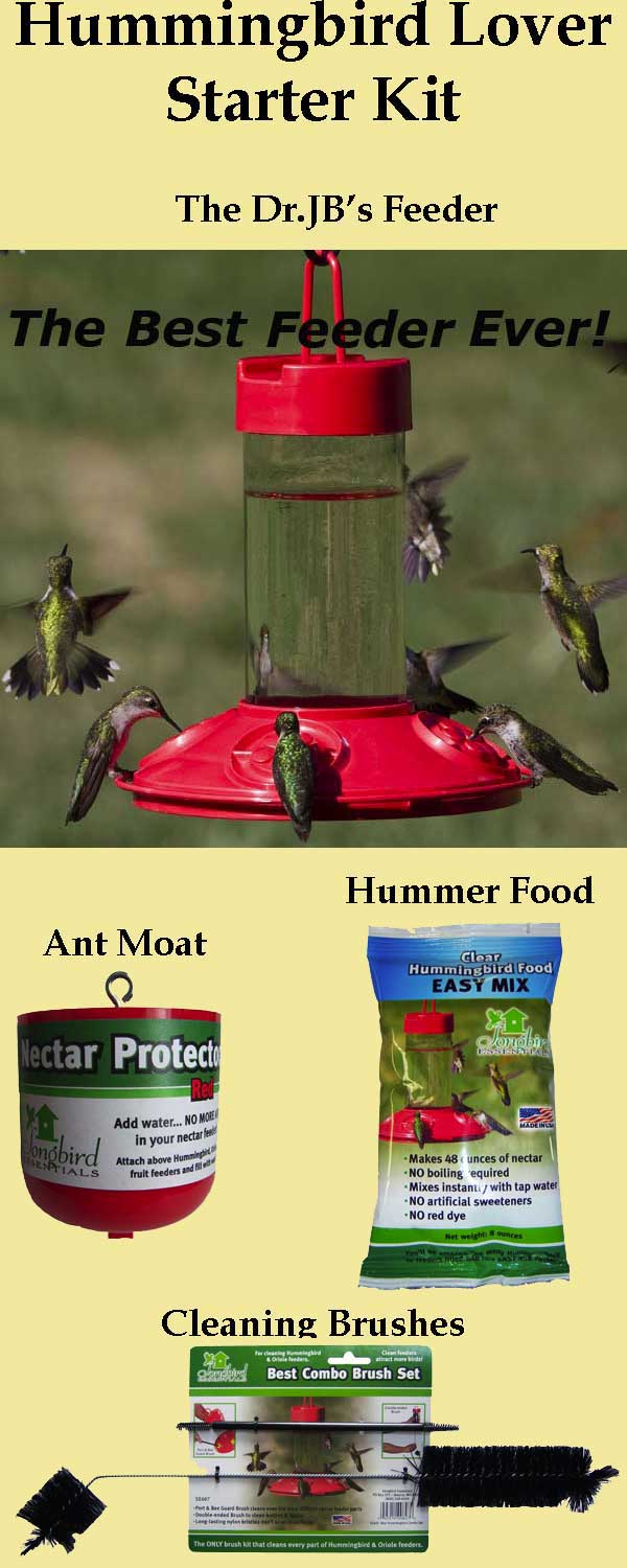 Hummingbird Lover Starter Kit