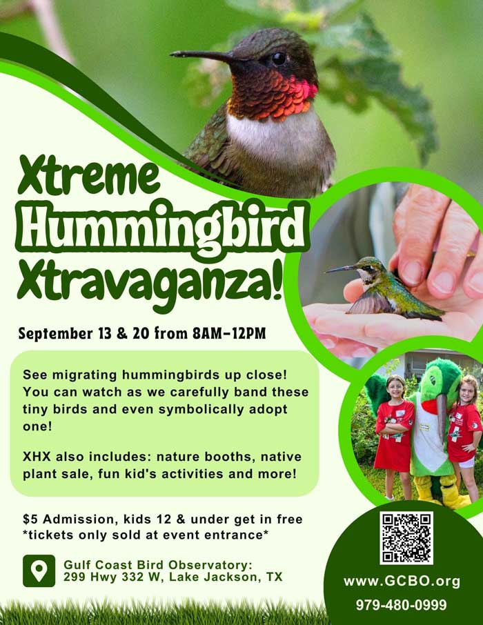 Xtreme Hummingbird Xtravaganza